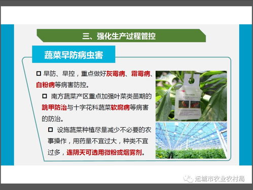 新型冠狀病毒感染肺炎疫情防控期間農產品生產經營者質量安全操作指南